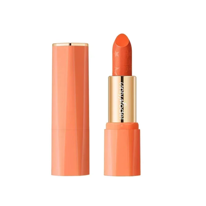 Orange Color Lipstick Lip Glaze Matt Silky Smooth Not Easy To Fade Lip Gloss Long Lasting Lip Stick Sexy Women Cosmetics Makeup