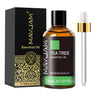 MAYJAM 1PCS 30ML Huile Essentielle d'Aromathérapie Lavande Vanille Jasmin Eucalyptus Menthe Poivrée Huile Aromatique pour Diffuseur Bougie Savon