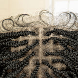 32 Inch Senegalese Twist Braided Wig - Knotless - Full Lace - Synthetic - with Baby Hair