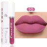 Lipstick Waterproof Long lasting Make-up for women Cosmetics Korean makeup Matte lipstick