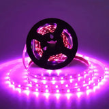 AmmToo 1-5M Plant Light Grow LED Strip 5V USB Full Spectrum Phyto LED for Greenhouse Tent Hydroponic Plants Flower Seed Lighting - Lootquake