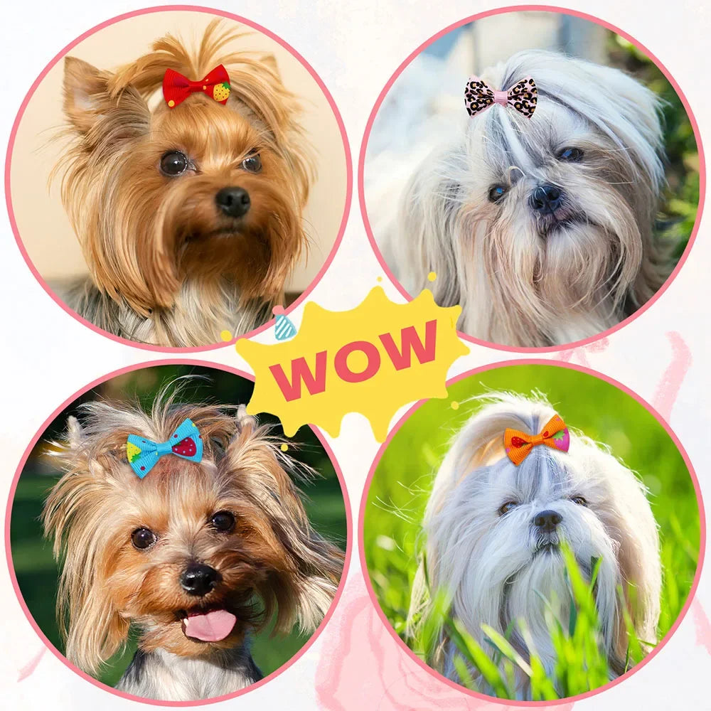 Lot de 100 nœuds pour chiots, accessoires de toilettage mobiles faits à la main pour chiens et chats, avec élastique