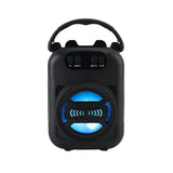 Wireless Bluetooth Speaker with LED Wireless Handheld Speaker Support Wired Microphone/TF Card/U Stick Audio Line Input