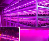 AmmToo 1-5M Plant Light Grow LED Strip 5V USB Full Spectrum Phyto LED for Greenhouse Tent Hydroponic Plants Flower Seed Lighting - Lootquake
