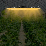 1200W IP65 LED Grow Light Indoor Grow Lamp Waterproof Board Panel Full Spectrum For Greenhouse Plants Flower Bloom Grow Tent - Lootquake