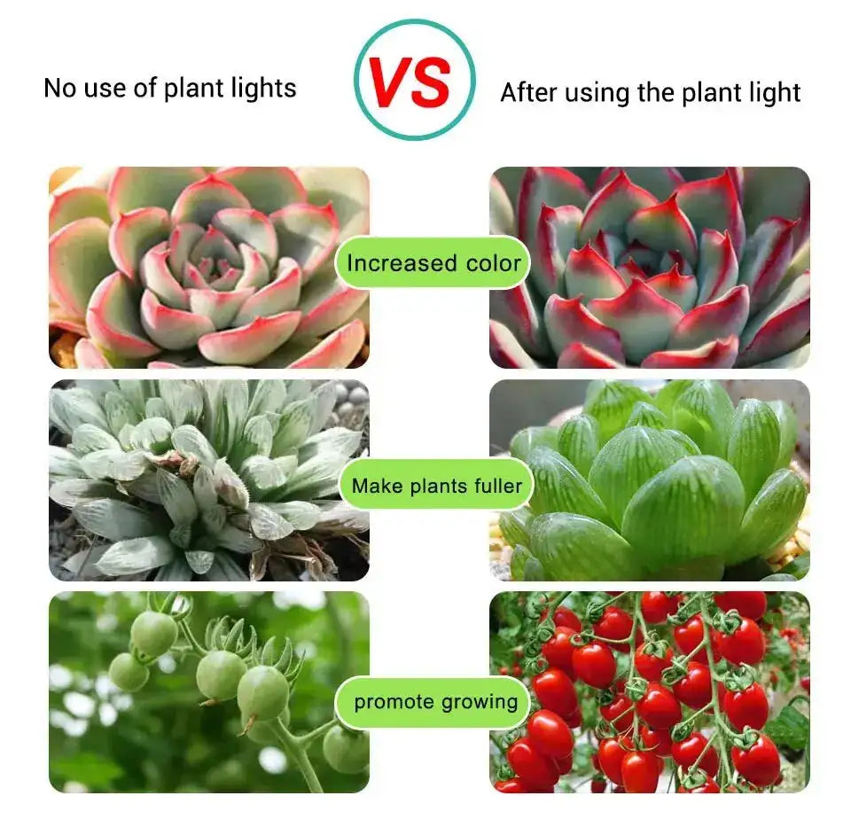 AmmToo 1-5M Plant Light Grow LED Strip 5V USB Full Spectrum Phyto LED for Greenhouse Tent Hydroponic Plants Flower Seed Lighting - Lootquake