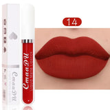 Lipstick Waterproof Long lasting Make-up for women Cosmetics Korean makeup Matte lipstick