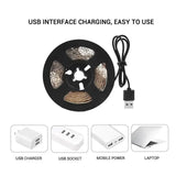 AmmToo 1-5M Plant Light Grow LED Strip 5V USB Full Spectrum Phyto LED for Greenhouse Tent Hydroponic Plants Flower Seed Lighting - Lootquake