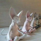Estatua de Buda Gato Esfinge: Escultura de meditación y yoga para decoración de jardín, arte fantástico y adorno de gato feliz
