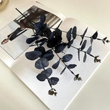 Fleurs artificielles d'eucalyptus noir de 34 cm pour décoration de chambre, de bureau, de maison