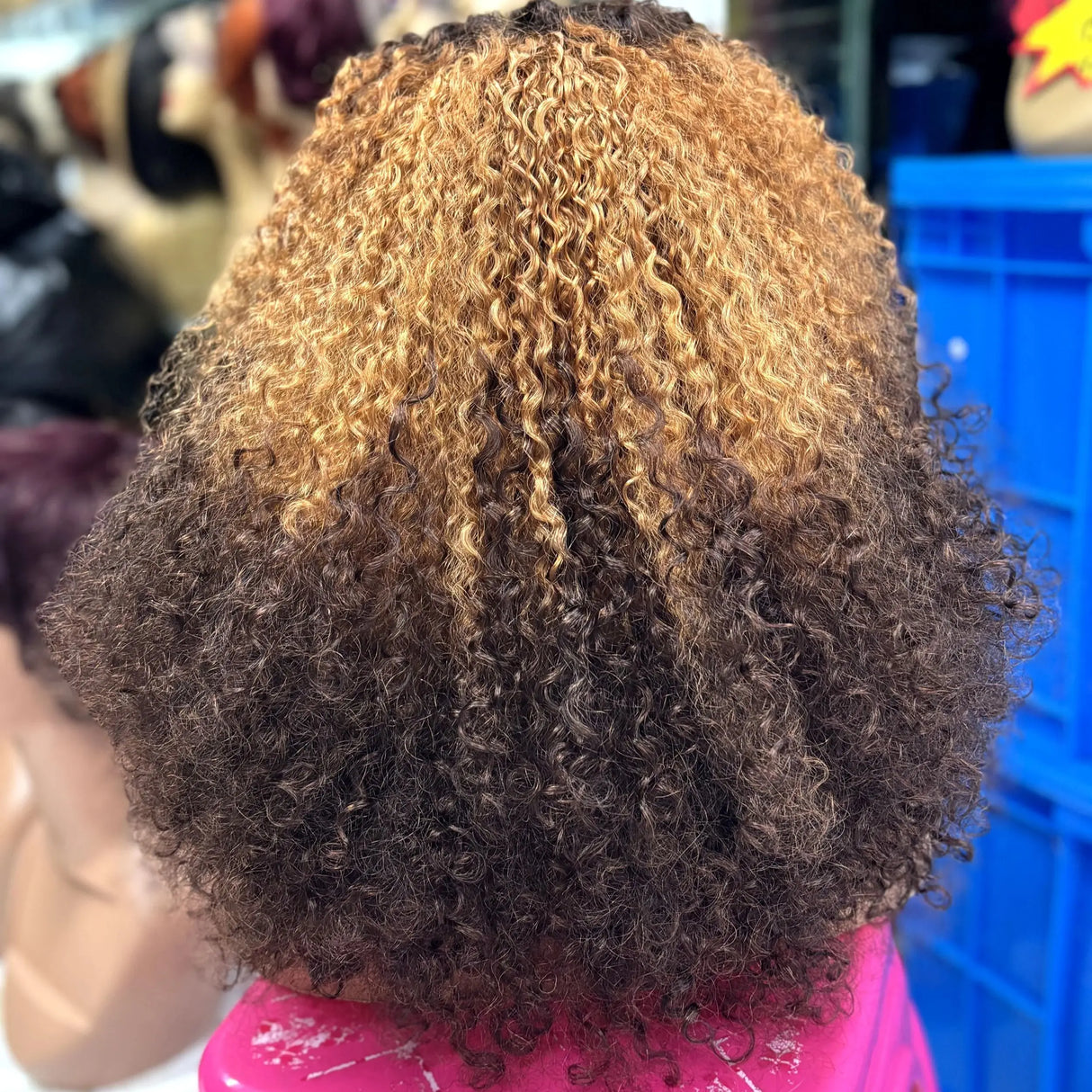 350% Density Pixie Curly HD Lace Frontal Wig | Bouncy Burmese Human Hair