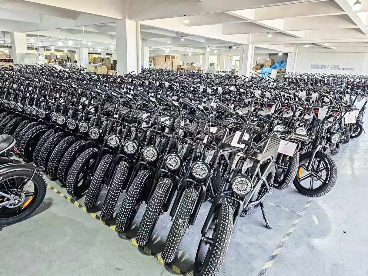 Bicicleta eléctrica C93 2000W 48V23Ah, todoterreno, batería dual, velocidad máxima 55 km, aleación de aluminio, E-BIKE para adultos