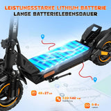 Trottinette électrique RCB D5, homologuée pour la route (ABE), moteur 500 W, pneus increvables 10 pouces, contrôle par application, double amortisseur