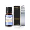 EUQEE 10ml Woody Fruit Fragrance Oil For Humidifier DIY Soap Candle Making Cedarwood Forest Pine Pumpkin Pie Coconut Pineapple