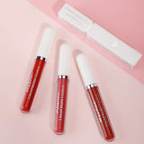 Liquid Lipstick Durable Waterproof Non Smudging Lip Glaze Lip Gloss Matte Lipstick Non Peeling Ladies' Makeup