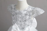 New Christmas Party Princess long dress children's dress children's gauze lace birthday party dinner ball big butterfly dress