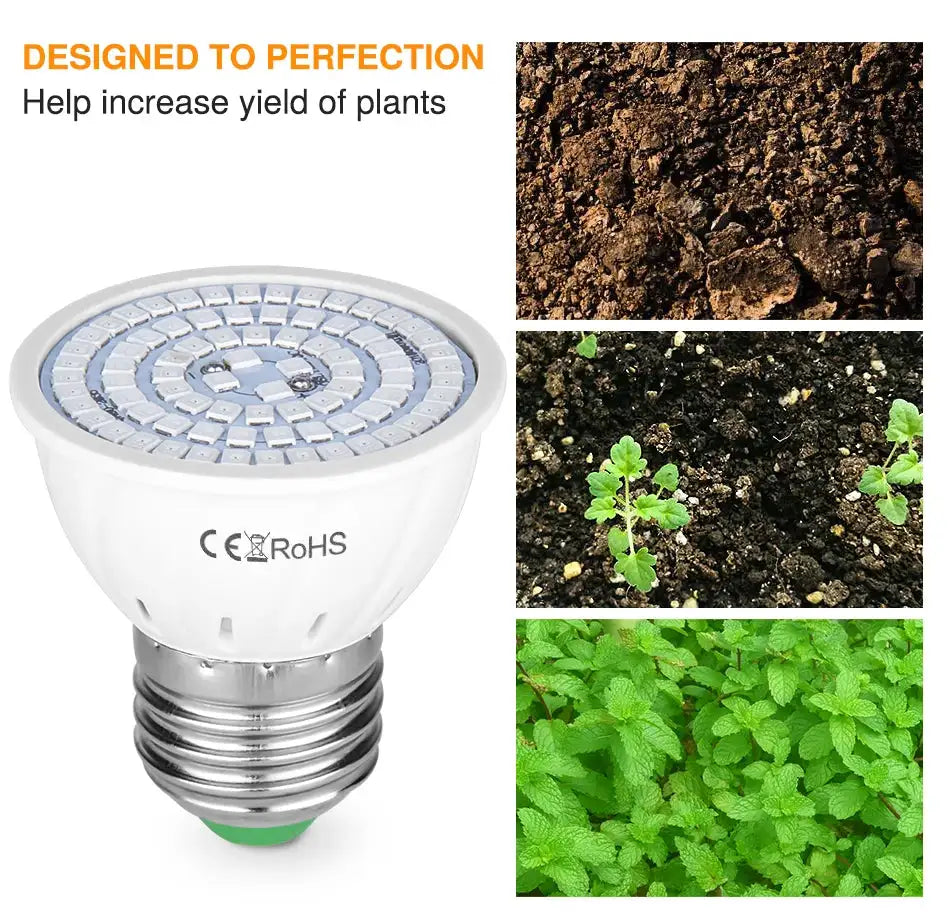 60/126/200 LED Grow Light Bulbs E27 Full Spectrum Grow Lamp Red Blue LED For Plants Indoor Hydro Flower Veg Grow Tent Phytolamp - Lootquake