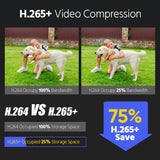 Kit de cámara ANNKE de 12 MP, luz dual inteligente, seguridad, 8 canales, NVR, 8 unidades, cámara POE, videovigilancia exterior, cámara de protección