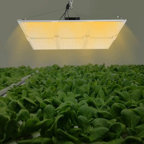 1200W IP65 LED Grow Light Indoor Grow Lamp Waterproof Board Panel Full Spectrum For Greenhouse Plants Flower Bloom Grow Tent - Lootquake