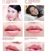 Sexy Red Lip Plumper Gloss Transparent Lip Gloss Rainbow Fruity Lip Balm Shiny Lip Tint Make up Mouth Primer Lipstick Makeup Hot