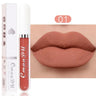 Lipstick Waterproof Long lasting Make-up for women Cosmetics Korean makeup Matte lipstick