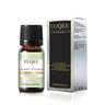 EUQEE 10ml Woody Fruit Fragrance Oil For Humidifier DIY Soap Candle Making Cedarwood Forest Pine Pumpkin Pie Coconut Pineapple