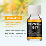 10ml Car Perfume Refill Air Freshener Natural Plant Essential Oil Aroma Diffuser Fragrance Humidifier Essential Oil Freshener