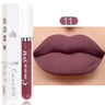 Lipstick Waterproof Long lasting Make-up for women Cosmetics Korean makeup Matte lipstick