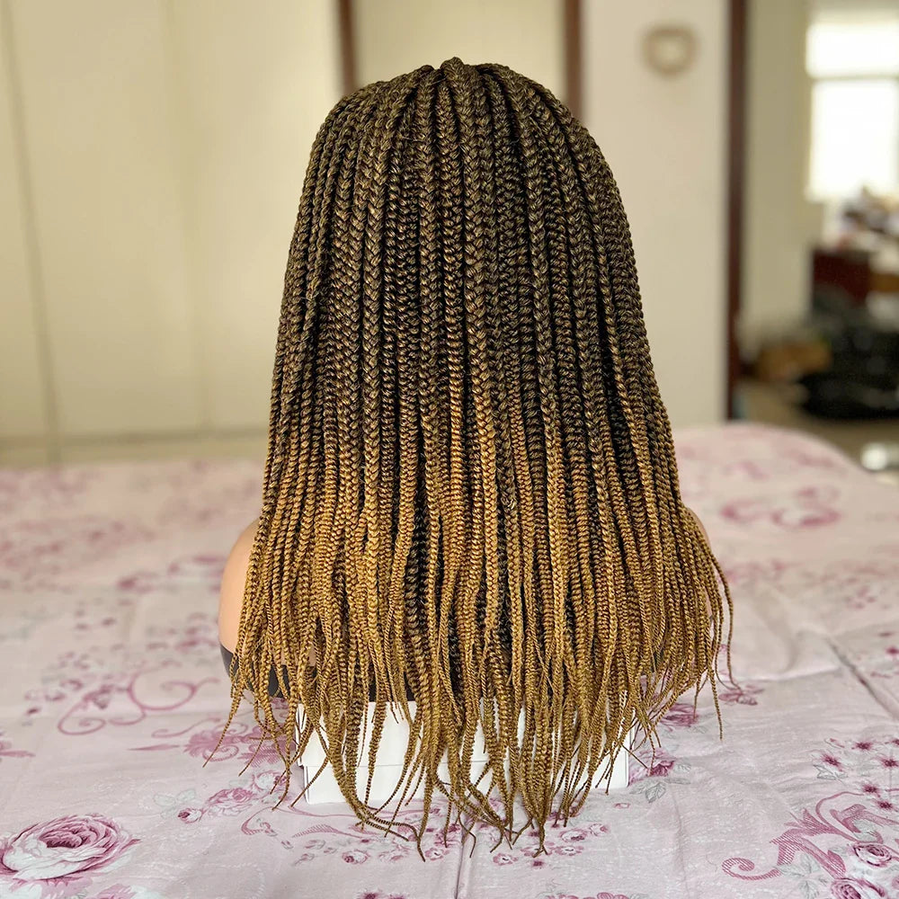 20-30 Inch Ombre Box Braids Wig | Lace Front | Short Braided Wigs for Black Women | High-Temperature Fiber