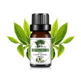10ML Fragrance Oil Plant Making DIY 33 Flavor Aromatherapy Plaster Candle Soap Fragrance Oil for SPA Diffuser Sleep Humidifier