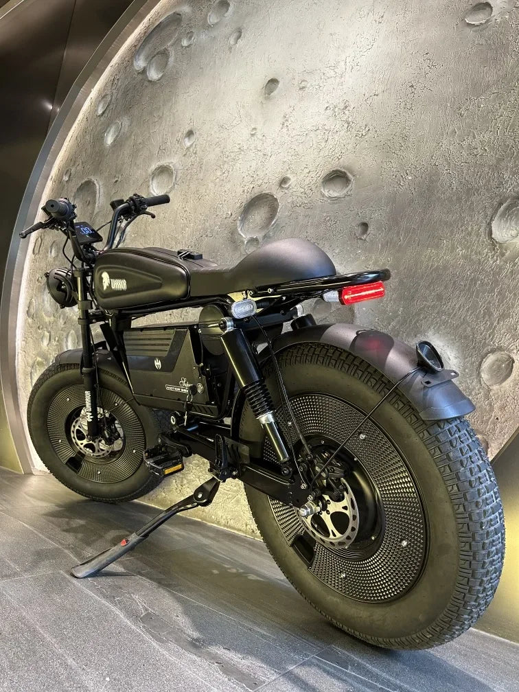 ZPW Black Warrior - Bicicleta eléctrica de carretera para adultos, 1500 W, 48 V, 60 Ah, 20 pulgadas, todoterreno, neumáticos anchos