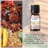 Huile parfumée EUQEE 10 ml, noix de coco, vanille, chewing-gum, pour la fabrication de bougies, de savons, de gâteaux au café et de bois de cèdre. Huiles aromatiques de qualité supérieure.