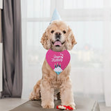 Pañuelo de cumpleaños para perro, niño y niña, suministros para fiesta de cumpleaños de mascotas, baberos triangulares, bufandas, accesorios para perros grandes