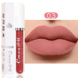 Lipstick Waterproof Long lasting Make-up for women Cosmetics Korean makeup Matte lipstick
