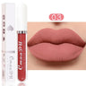 Lipstick Waterproof Long lasting Make-up for women Cosmetics Korean makeup Matte lipstick