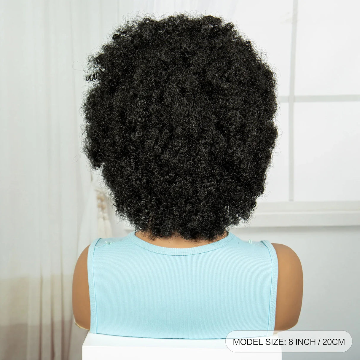 Afro Kinky Curly Cornrow Braids Wig | Transparent Full Lace | Baby Hair