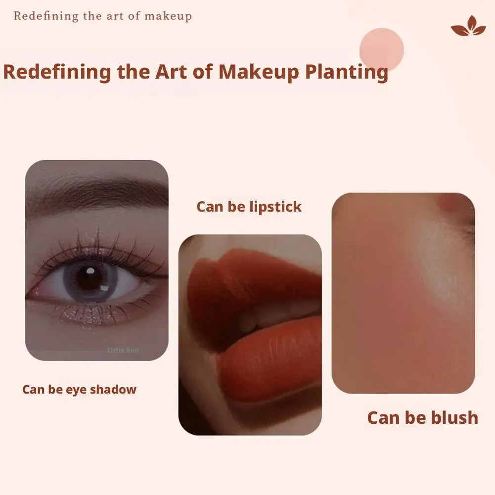 Essential Oil Moisturizing Lipstick Set 12 Colors Matte Lip Gloss Long-Lasting Fashion Makeup Gift Set Lipstick For Women