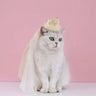 Pet Dog Birthday Party Dog Hat Candy Color Dot Lace Cat Bib Suit Cute Small Medium Dogs Costume Cap Pet Products Accessories