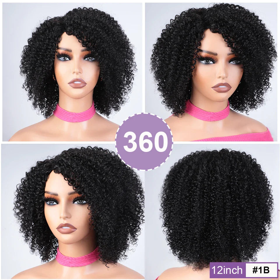 Afro Kinky Curly Black & Ombre T1B/30 Human Hair Wig | Brazilian Remy Machine Made Glueless Wigs for Women (Affordable)