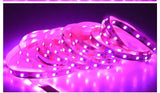 AmmToo 1-5M Plant Light Grow LED Strip 5V USB Full Spectrum Phyto LED for Greenhouse Tent Hydroponic Plants Flower Seed Lighting - Lootquake