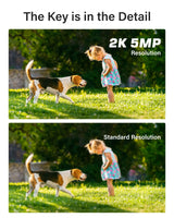 ANNK H.265+ 5MP Lite Ultra HD 8CH DVR Système de sécurité CCTV 8PCS Kit de surveillance vidéo extérieure 5MP EXIR Vision nocturne