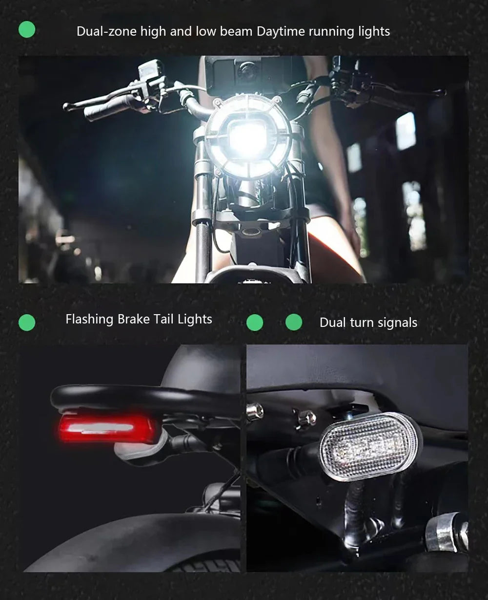 ZPW Black Warrior - Bicicleta eléctrica de carretera para adultos, 1500 W, 48 V, 60 Ah, 20 pulgadas, todoterreno, neumáticos anchos