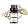 10ML Fragrance Oil Plant Making DIY 33 Flavor Aromatherapy Plaster Candle Soap Fragrance Oil for SPA Diffuser Sleep Humidifier