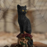 Squelettes mystérieux, personnages décoratifs, statues d'animaux, artisanat en résine