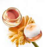 Gloss à lèvres hydratant Glass Lip Nude Rouge à lèvres Maquillage coréen Gloss hydratant Toutes les sensations Haute brillance Hydratant Vitamine E