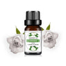 10ML Fragrance Oil Plant Making DIY 33 Flavor Aromatherapy Plaster Candle Soap Fragrance Oil for SPA Diffuser Sleep Humidifier