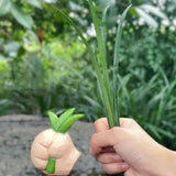 Home Decor Funny Grass Hand Statue Exquisite Artistic Holding Grass Sculpture Resin Hand Table Decor Unique Gift