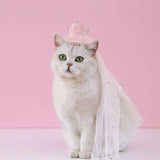Pet Dog Birthday Party Dog Hat Candy Color Dot Lace Cat Bib Suit Cute Small Medium Dogs Costume Cap Pet Products Accessories