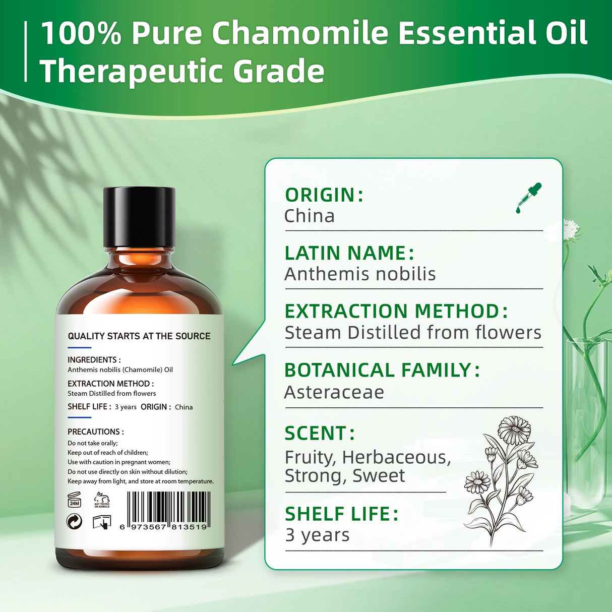 Huiles essentielles de camomille 100 ml, huile florale 100 % pure pour diffuseur, humidificateur, massage, Saint-Valentin, cadeaux pour les mères et les pères