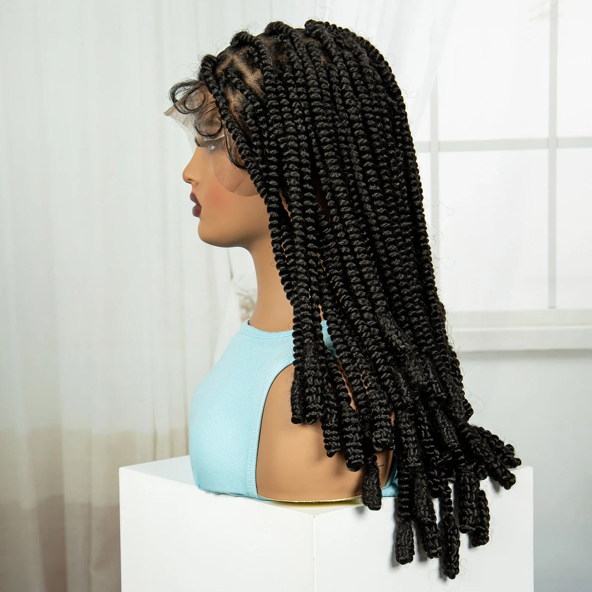 20 Inch Knotless Box Braids Full Lace Wig | Transparent Lace Synthetic Braided Wig with Baby Hair